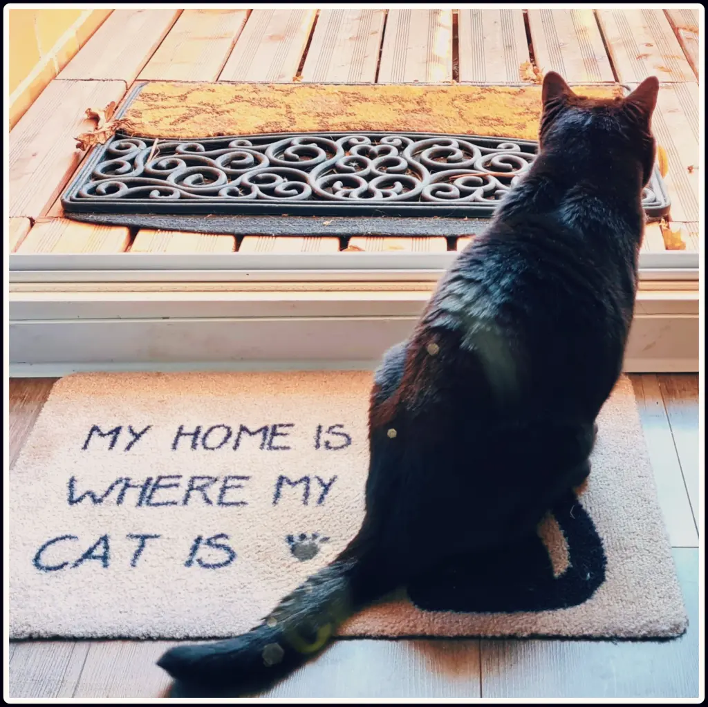 Image from Liz