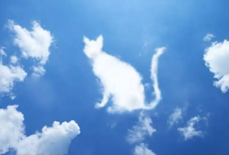 Andachtsbild von Von Timmys Mutti Tanja an Lissy