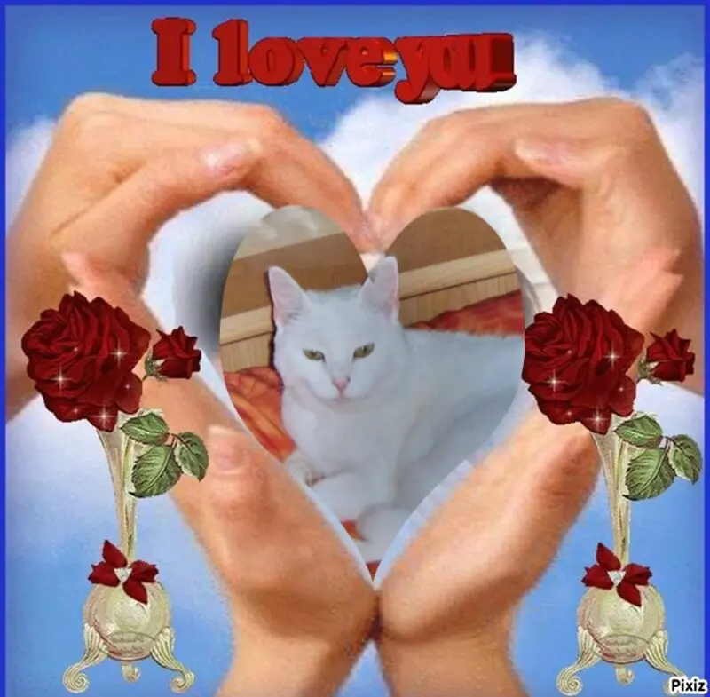 Andachtsbild von Für unser Liesl♥️