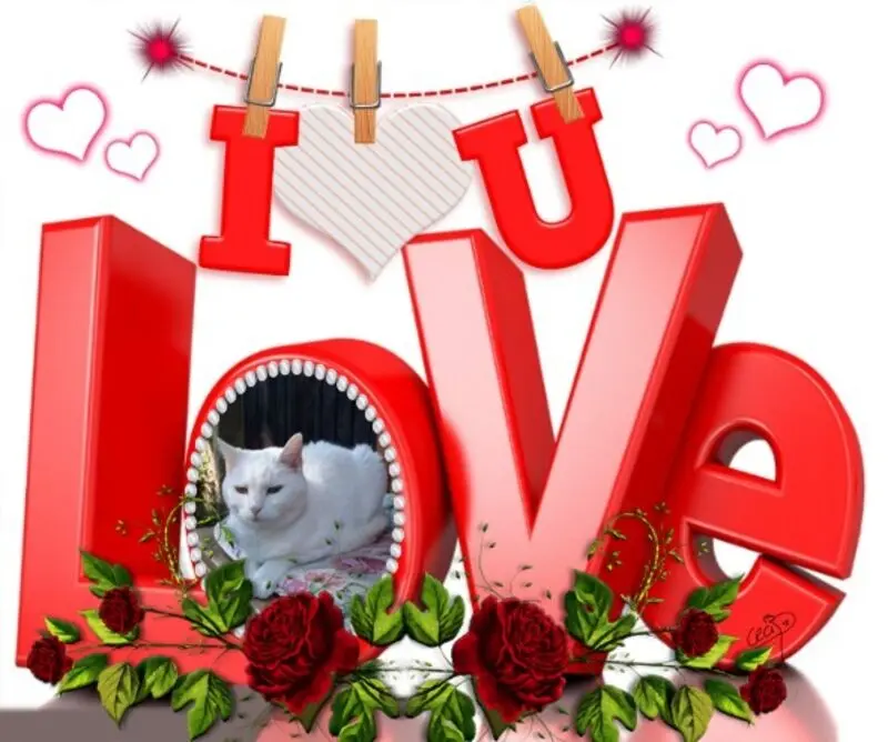 Andachtsbild von 1.Sternchen❤️Gedenktag❤️