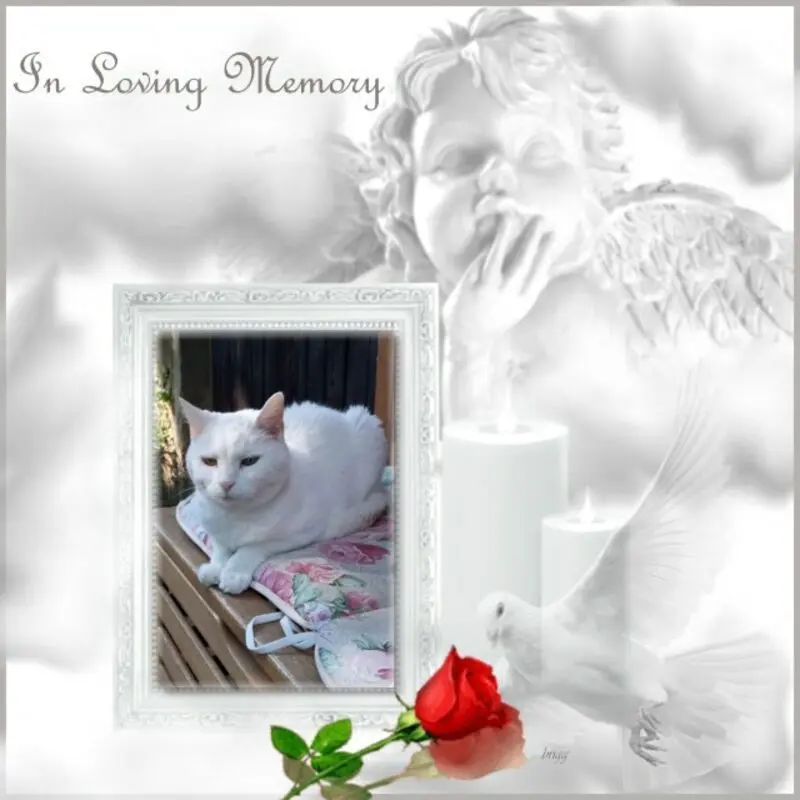 Andachtsbild von ❤️❤️❤️❤️❤️❤️❤️❤️❤️❤️❤️❤️❤️❤️