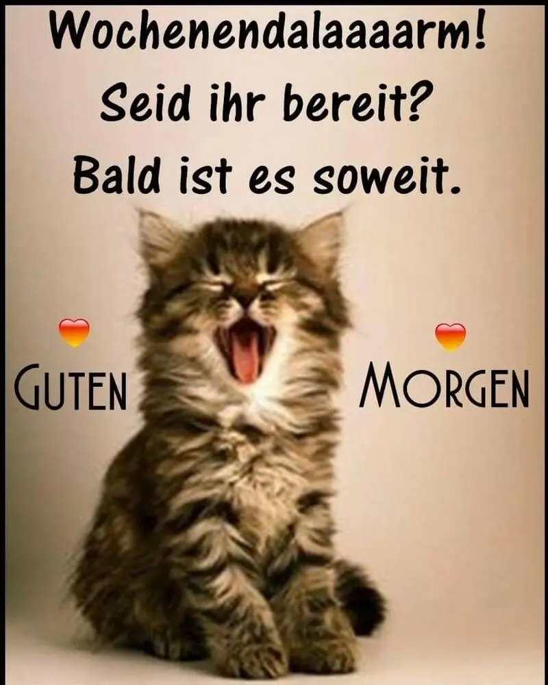 Andachtsbild von Post von Timmys Mutti Tanja an Lissy