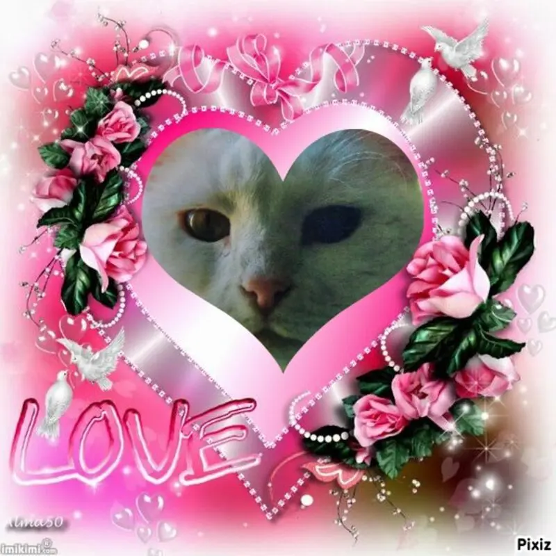 Andachtsbild von Timmys Mutti Tanja an Lissy