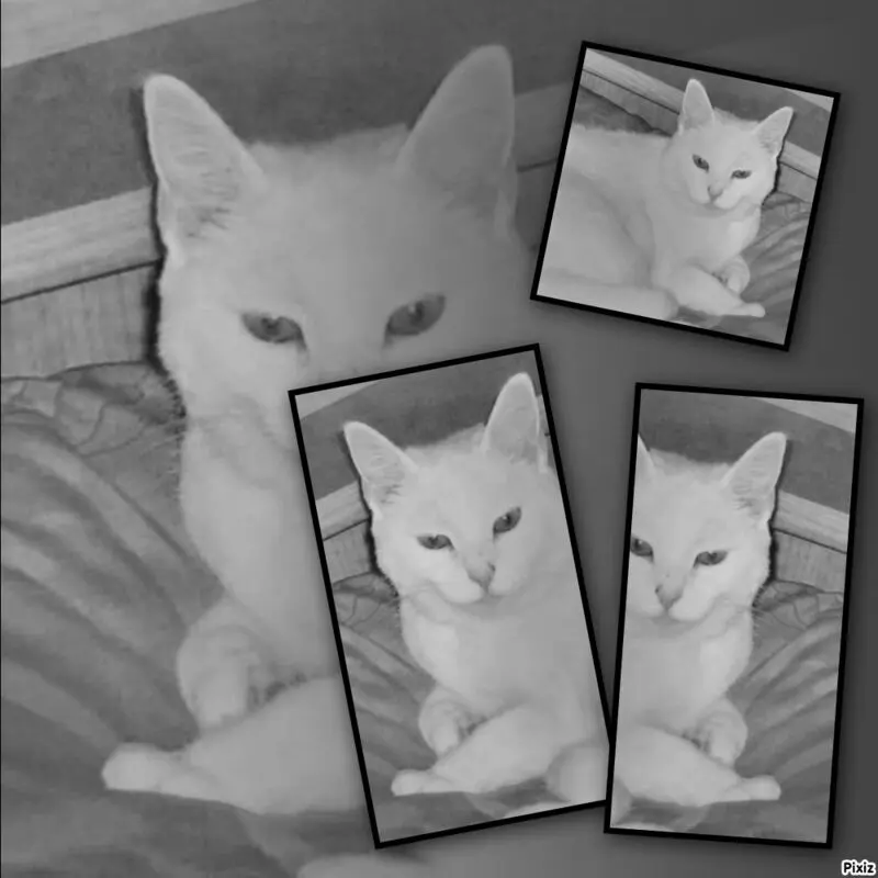 Andachtsbild von Sternchenpost ⭐