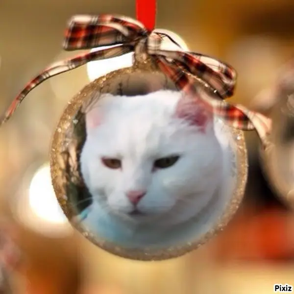 Andachtsbild von Für unser kleines Schneeflöckchen ♥️