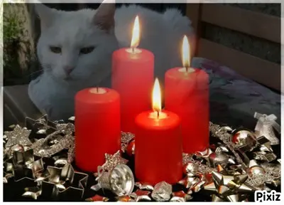 Andachtsbild von Post von Timmys Mutti Tanja an Lissy