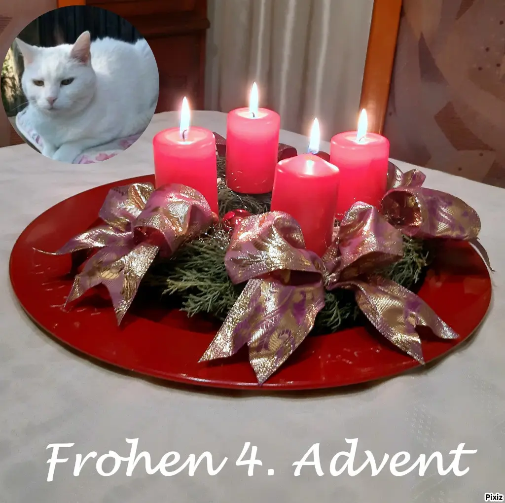 Andachtsbild von Post von Timmys Mutti Tanja an Lissy