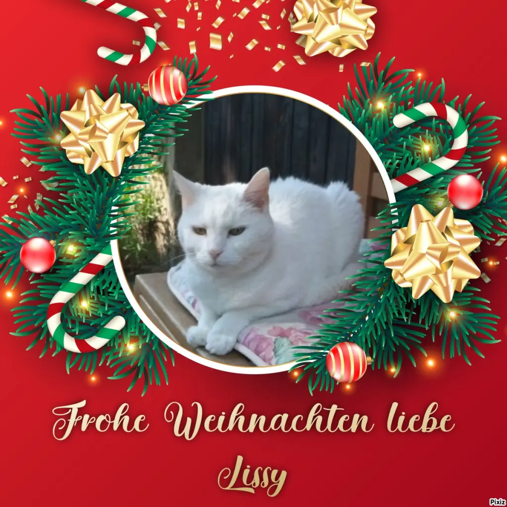 Andachtsbild von Post von Timmys Mutti Tanja an Lissy