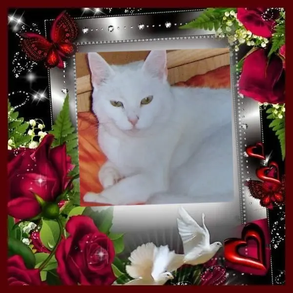 Andachtsbild von Sternchenpost ⭐