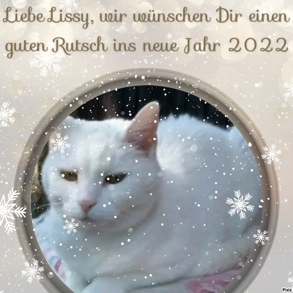 Andachtsbild von Post von Timmys Mutti Tanja an Lissy