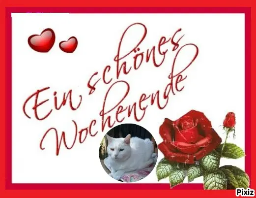 Andachtsbild von Post von Timmys Mutti Tanja an Lissy