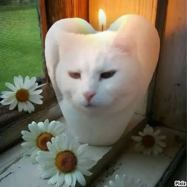 Andachtsbild von Für unser liebes Lieschen ♥️