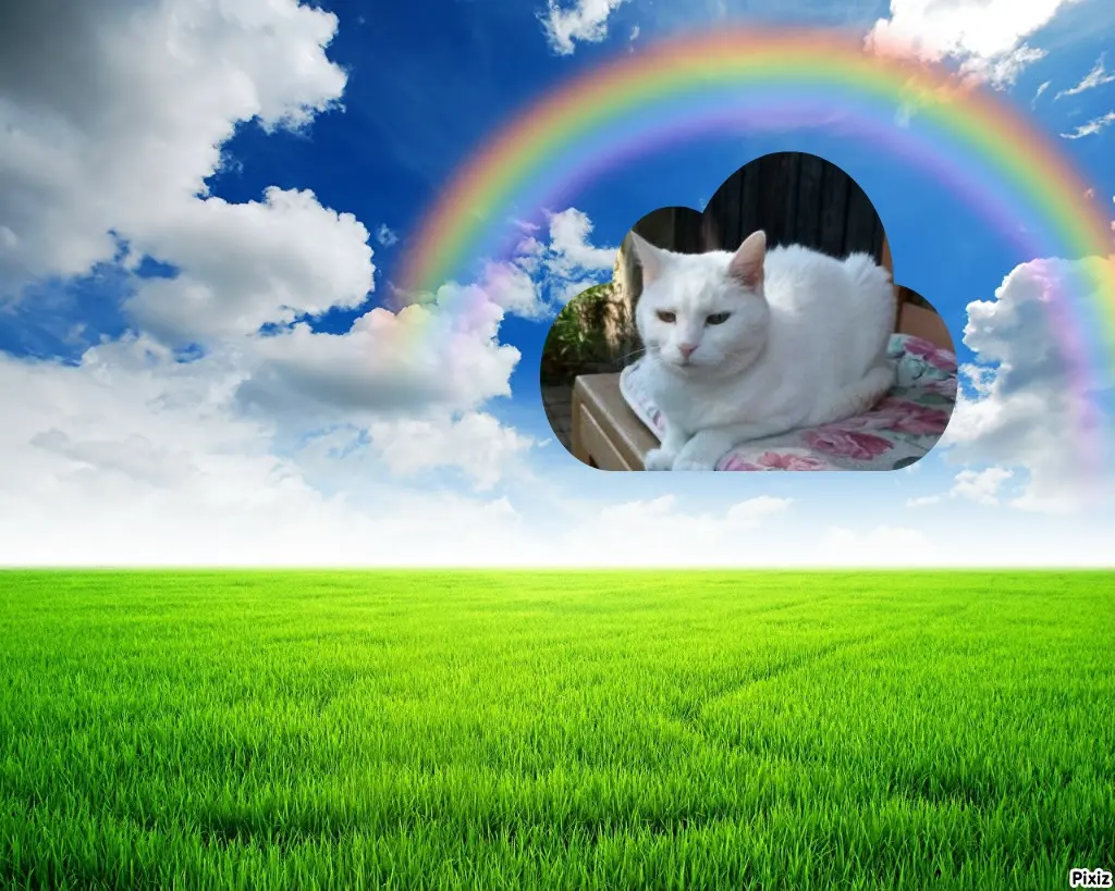 Andachtsbild von Tanja mit Timmy im Herzen 