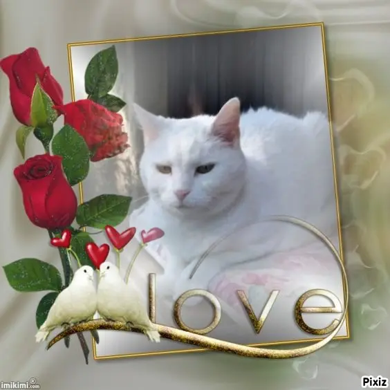 Andachtsbild von Sternchenpost ⭐