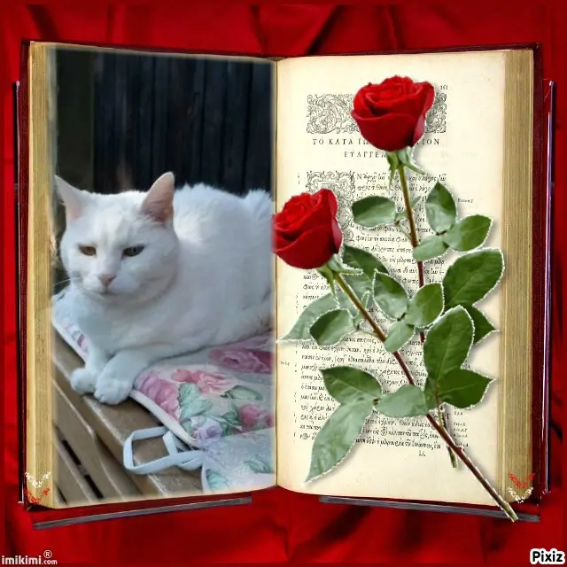 Andachtsbild von Post von Timmys Mutti Tanja an Engelchen Lissy