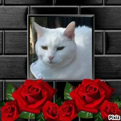 Andachtsbild von Post von Timmys Mutti Tanja an Engelchen Lissy