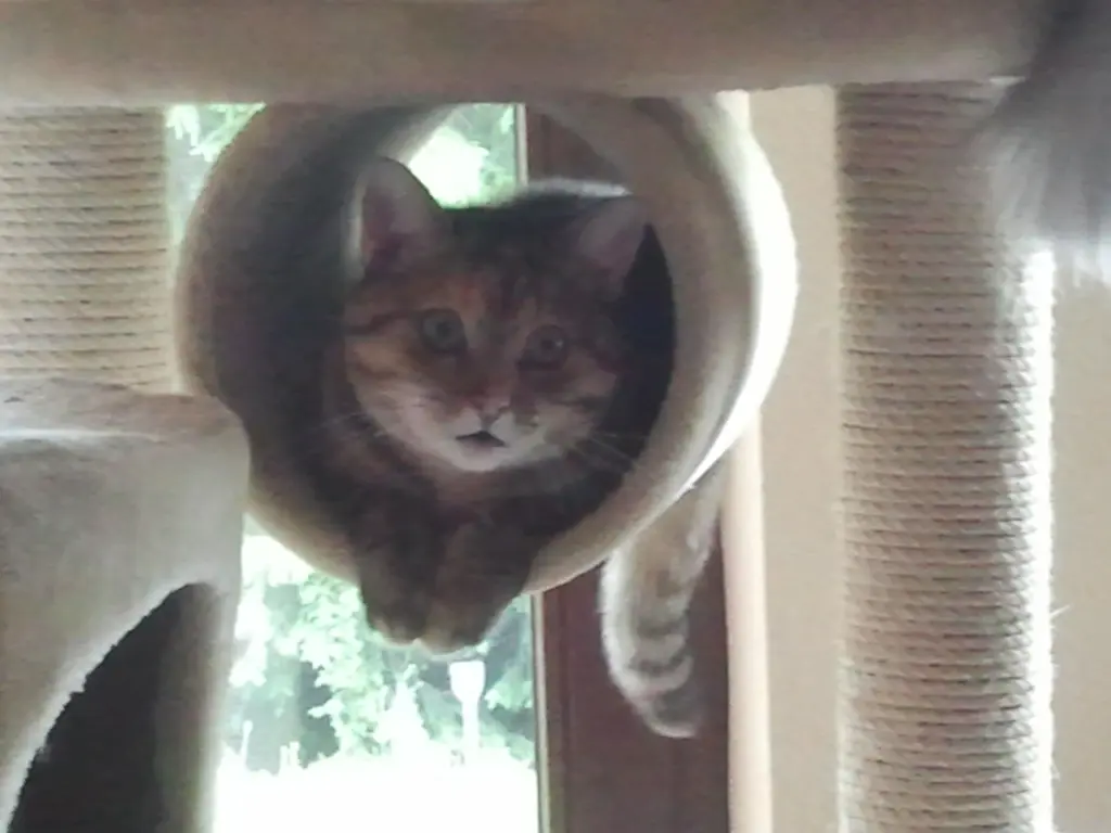 Andachtsbild von Daniela Georg