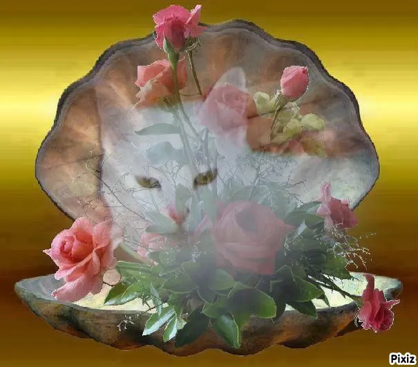 Andachtsbild von Für Mami Utchen ihren kleinen Schatz ♥️