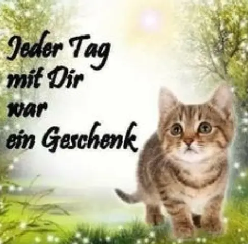 Andachtsbild von Daniela für Engelchen Lissy ❤️