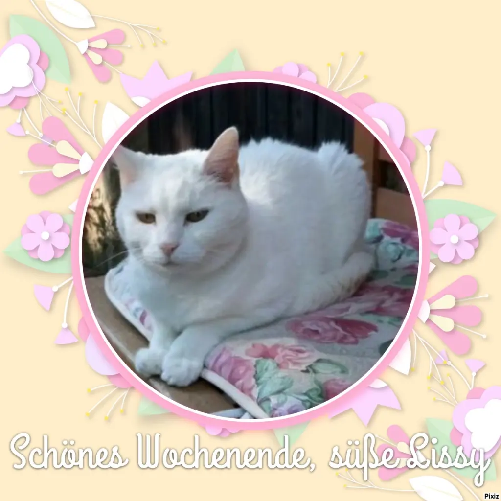 Andachtsbild von Post von Timmys Mutti Tanja an Prinzessin Lissy