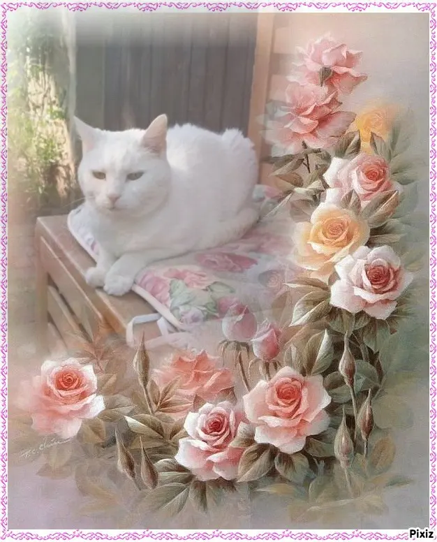 Andachtsbild von Sternchenpost ⭐