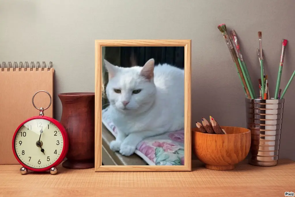 Andachtsbild von Post von Timmys Mutti Tanja an Lissy