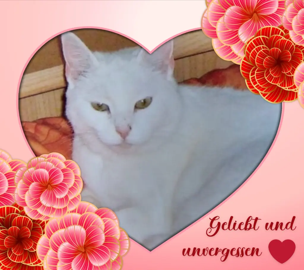 Andachtsbild von Sternchenpost ⭐