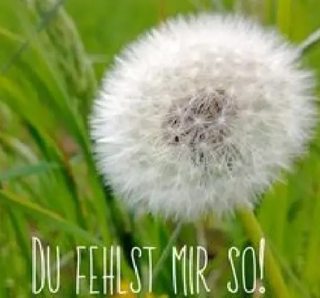 Andachtsbild von Daniela für Lissy ❤️ und Netti
