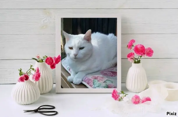 Andachtsbild von Timmys Mutti Tanja an Sternenprinzessin Lissy