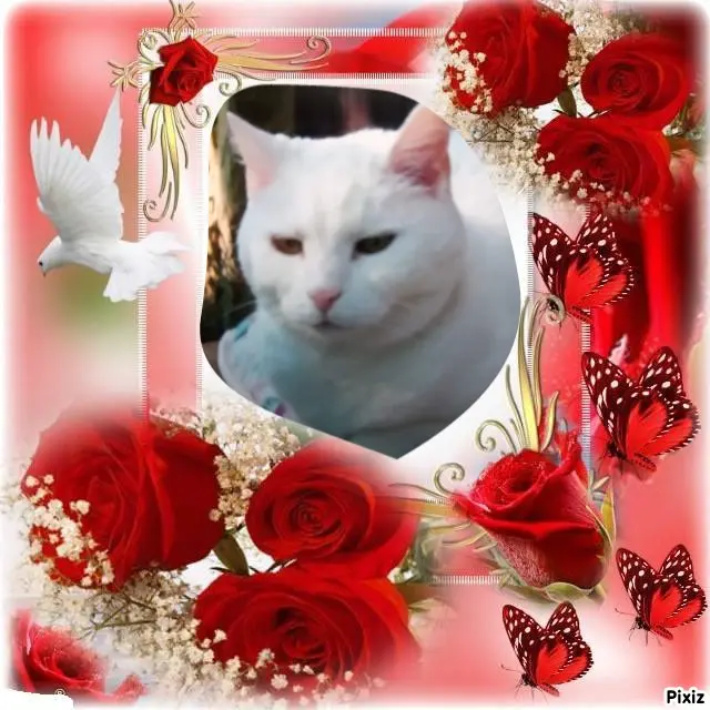 Andachtsbild von Für unsere kleine Lieslmaus ♥️