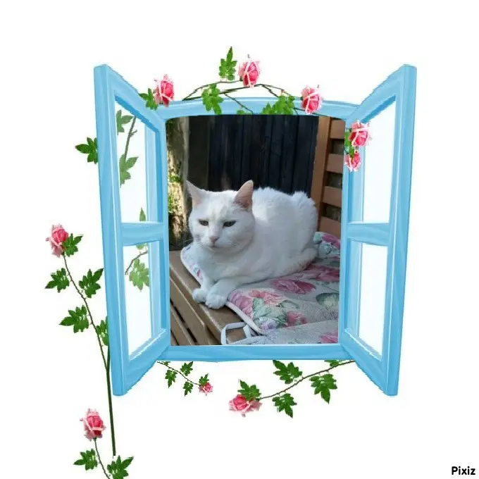 Andachtsbild von Timmys Mutti Tanja an Sternenprinzessin Lissy