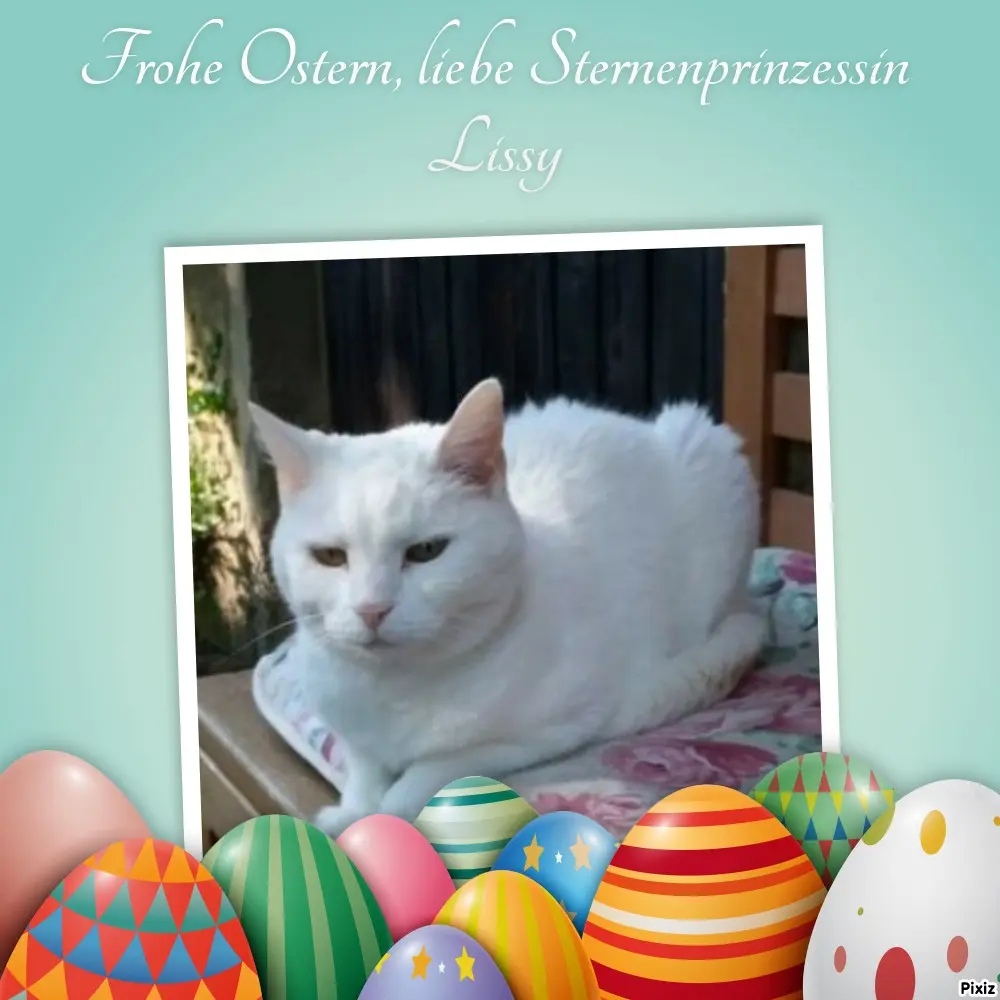 Andachtsbild von Timmys Mutti Tanja an Sternenprinzessin Lissy