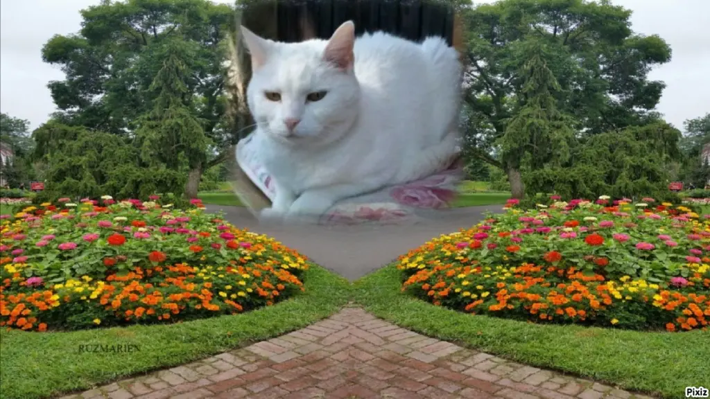 Andachtsbild von Post von Timmys Mutti Tanja an Sternenprinzessin Lissy