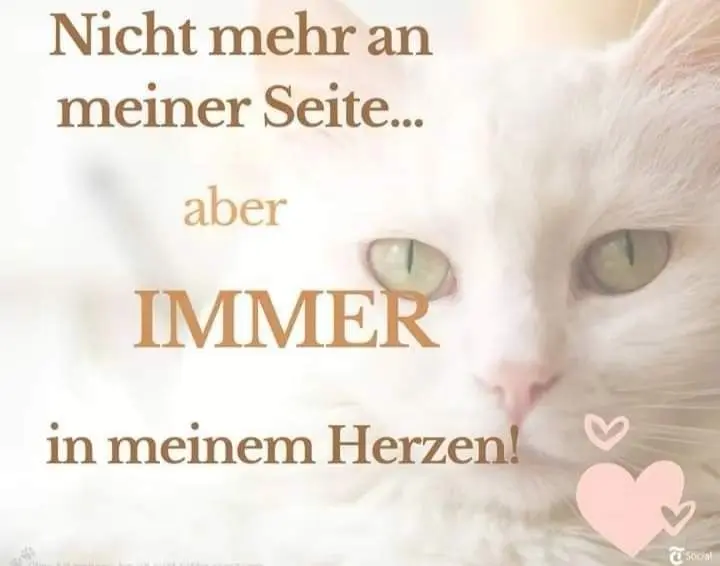 Andachtsbild von Für unser kleines Schneeflöckchen ♥️