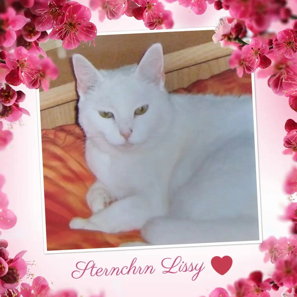 Andachtsbild von Patricia mit Bunny ❤