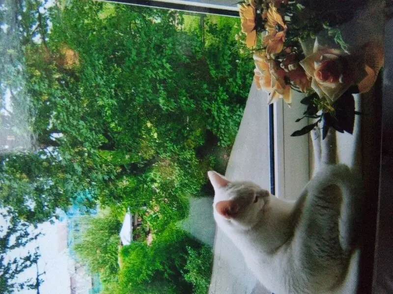 Andachtsbild von Für unser kleines Schneeflöckchen ♥️