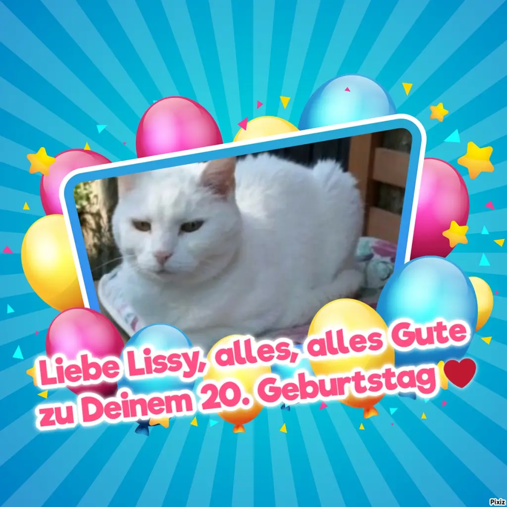 Andachtsbild von Tanja mit Timmy im Herzen 