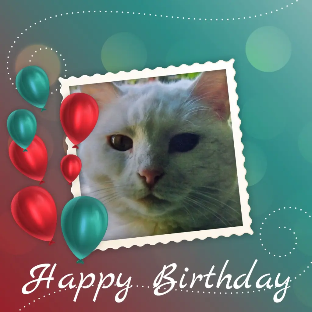 Andachtsbild von Andrea mit Minki im ♥️