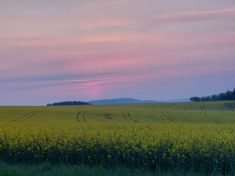 Andachtsbild von Daniela mit Pauline im Herzen ♥️
