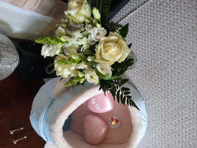 Andachtsbild von Für Dich Lieschen ♥️