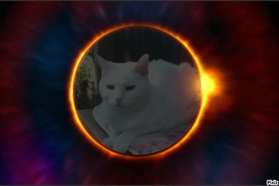 Andachtsbild von Post von Timmys Mutti Tanja an  Sternenprinzessin Lissy