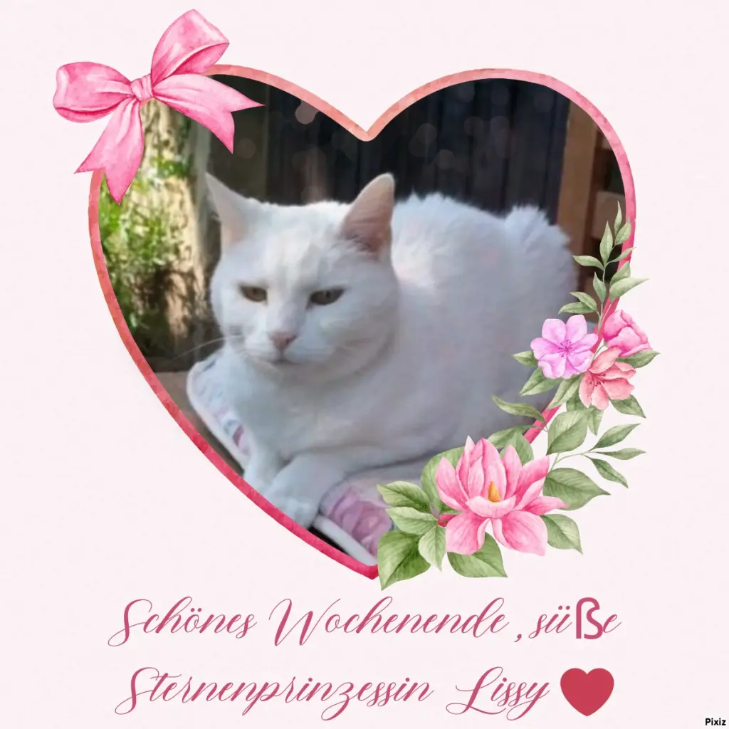 Andachtsbild von Timmys Mutti Tanja an Sternenprinzessin Lissy 