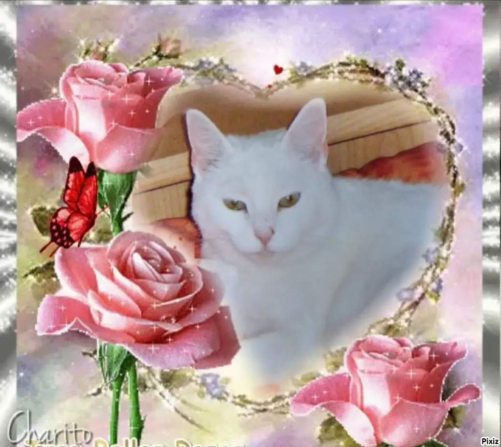 Andachtsbild von Für unsere kleine Liesl ♥️