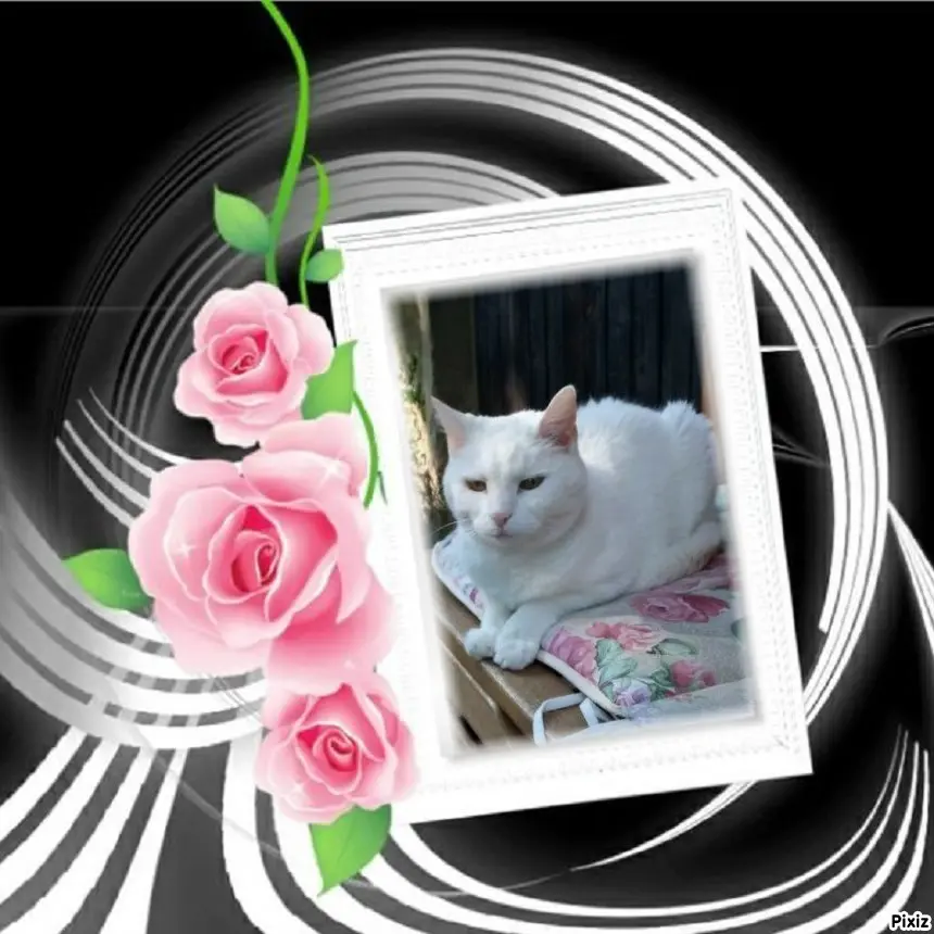 Andachtsbild von Timmys Mutti Tanja an Sternenprinzessin Lissy