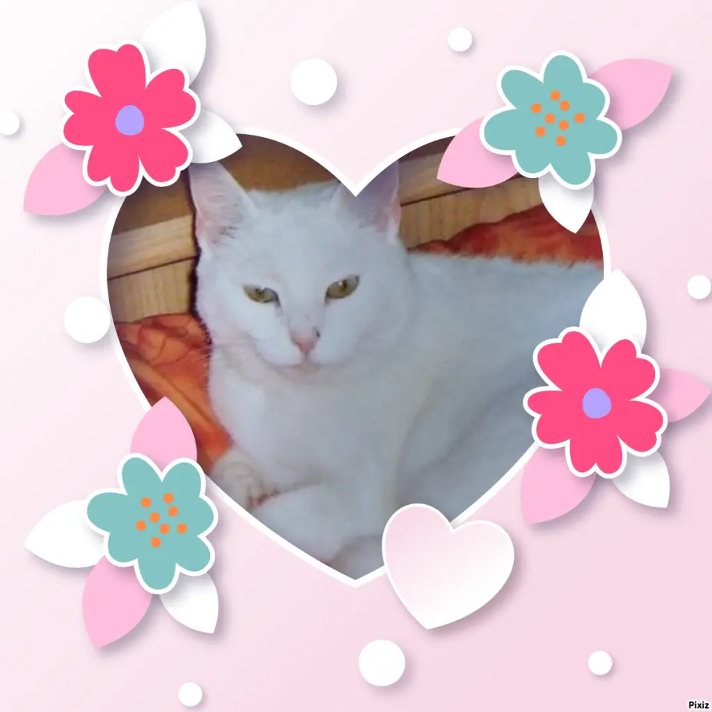 Andachtsbild von Sternchenpost ⭐️,