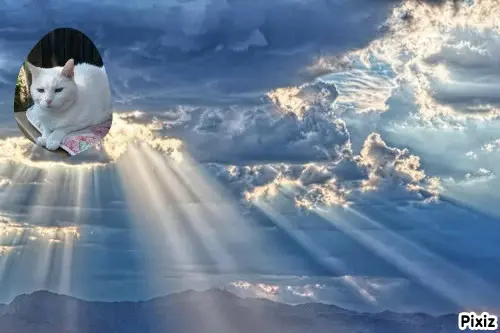 Andachtsbild von Timmys Mutti Tanja an Sternenprinzessin Lissy