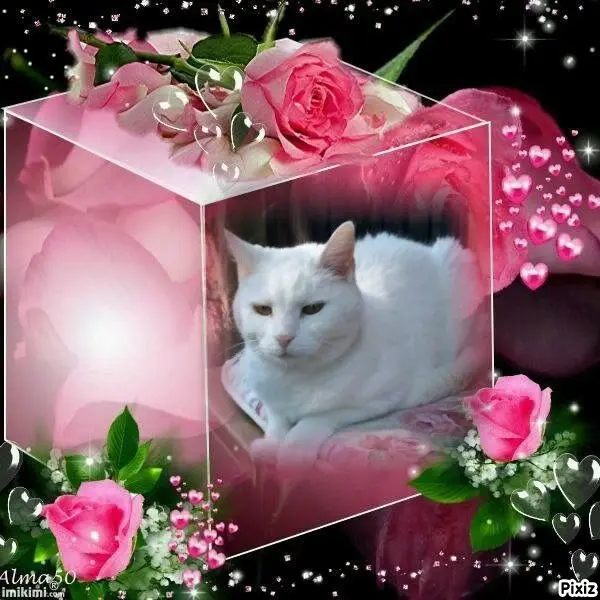 Andachtsbild von Timmys Mutti Tanja an Sternenprinzessin Lissy 