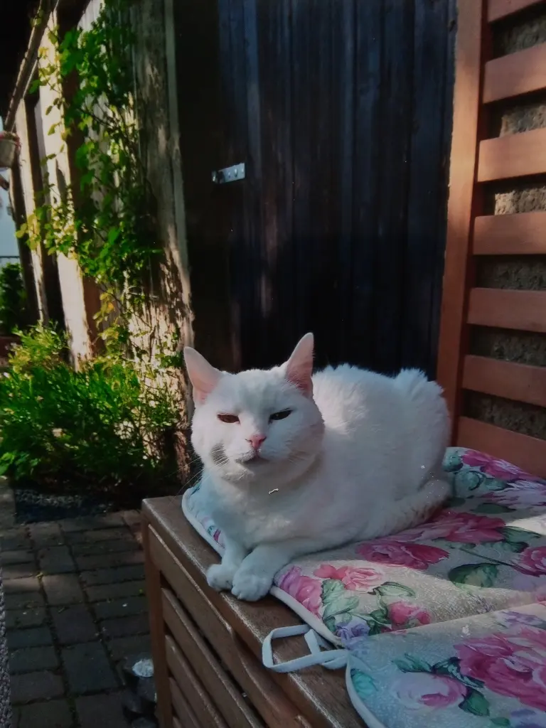 Andachtsbild von Für unser kleines Schneeflöckchen ♥️