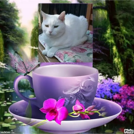 Andachtsbild von Timmys Mutti Tanja an Sternenprinzessin Lissy