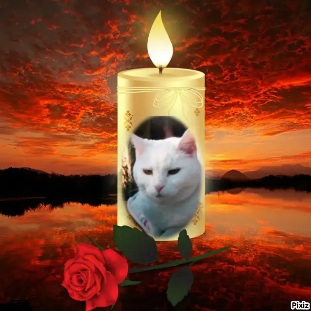 Andachtsbild von Für unser kleines Eisbärsternchen♥️